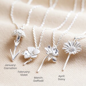 January Carnation Birthflower necklace in Silver