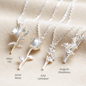 July Larkspur Birthflower necklace in Silver