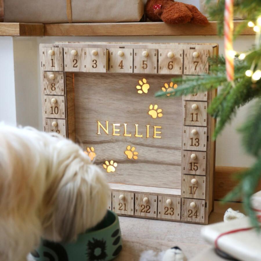 Dog in front of Lit Up Personalised Fill Your Own Wooden Pet Advent Calendar Light Box