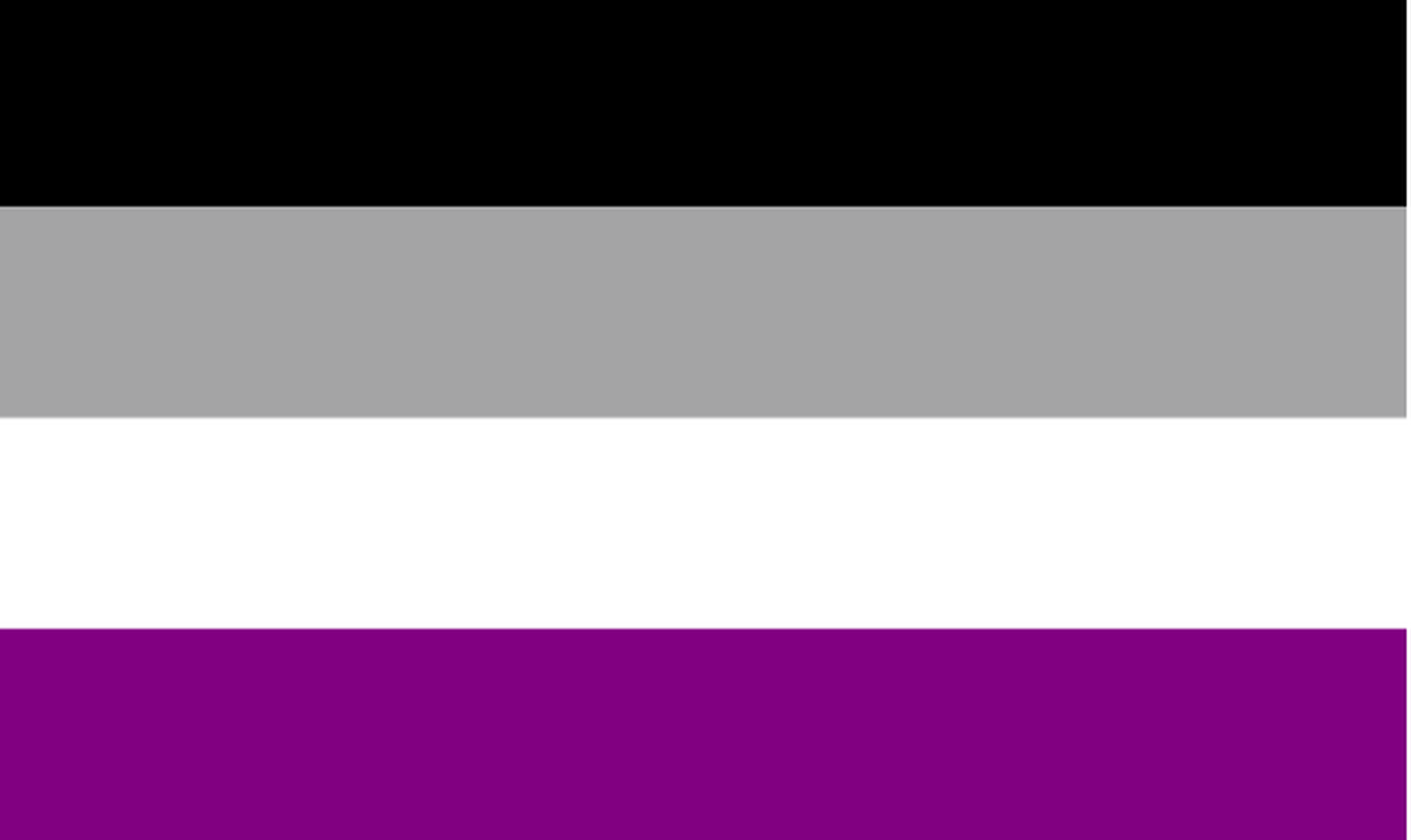 Asexual Pride Flag with Purple, White, Grey and Black