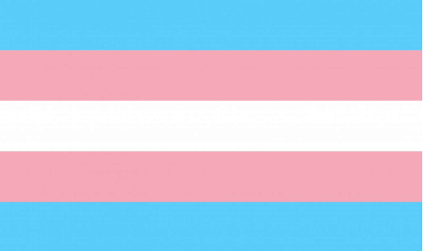The Transgender Pride Flag in Shades of Blue, Pink and White