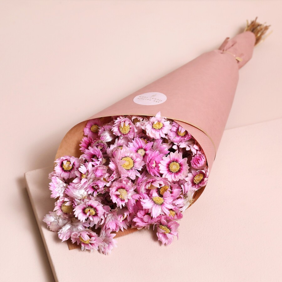 A Small Bunch of Pink Daisy Dried Flowers Wrapped in Brown Paper