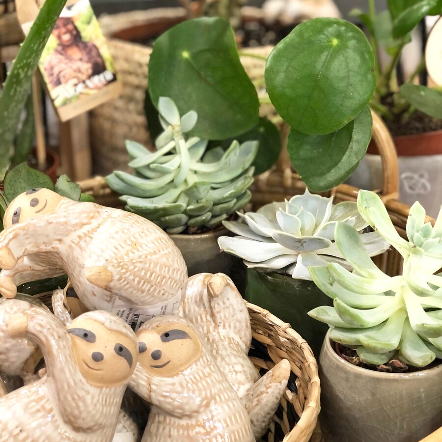 ceramic planter hangers in shape of a sloth and succulents