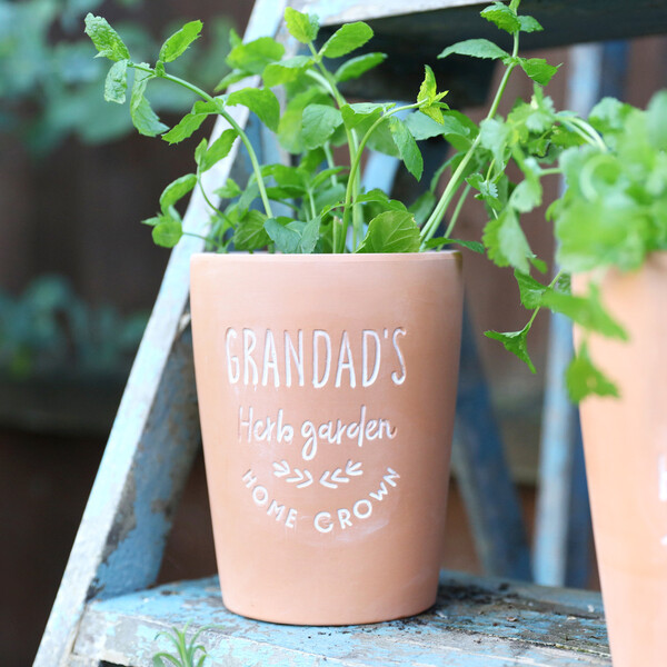 Grandad's Terracotta Garden Plant Pot is a Great Father's Day Gift From Grandchildren