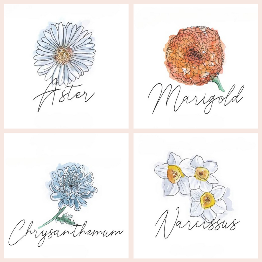 Discover the Birth Flower for September, October, November, or December Birthdays on Our Birth Flower Gifts Page