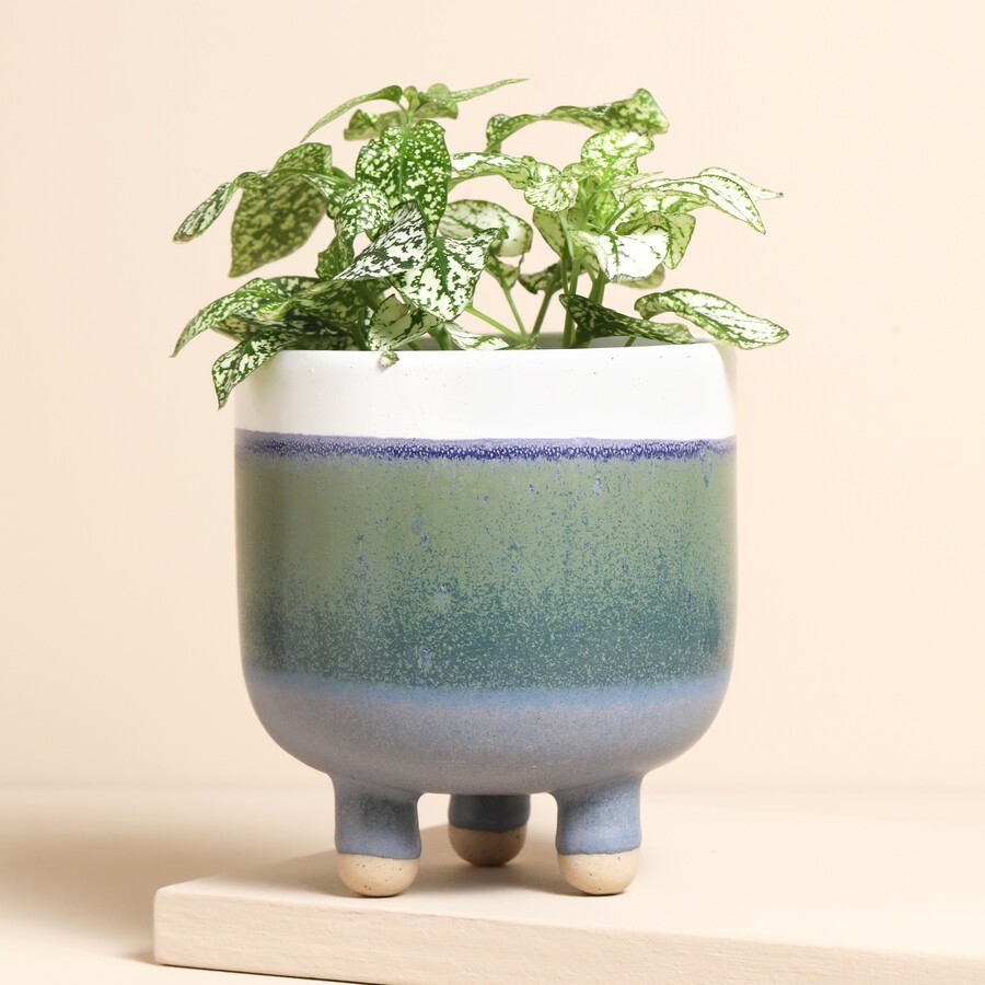 This Neutral Ceramic Planter in Ocean Colours is Perfect for Gifting to a Seafaring Cancerian for Their Birthday
