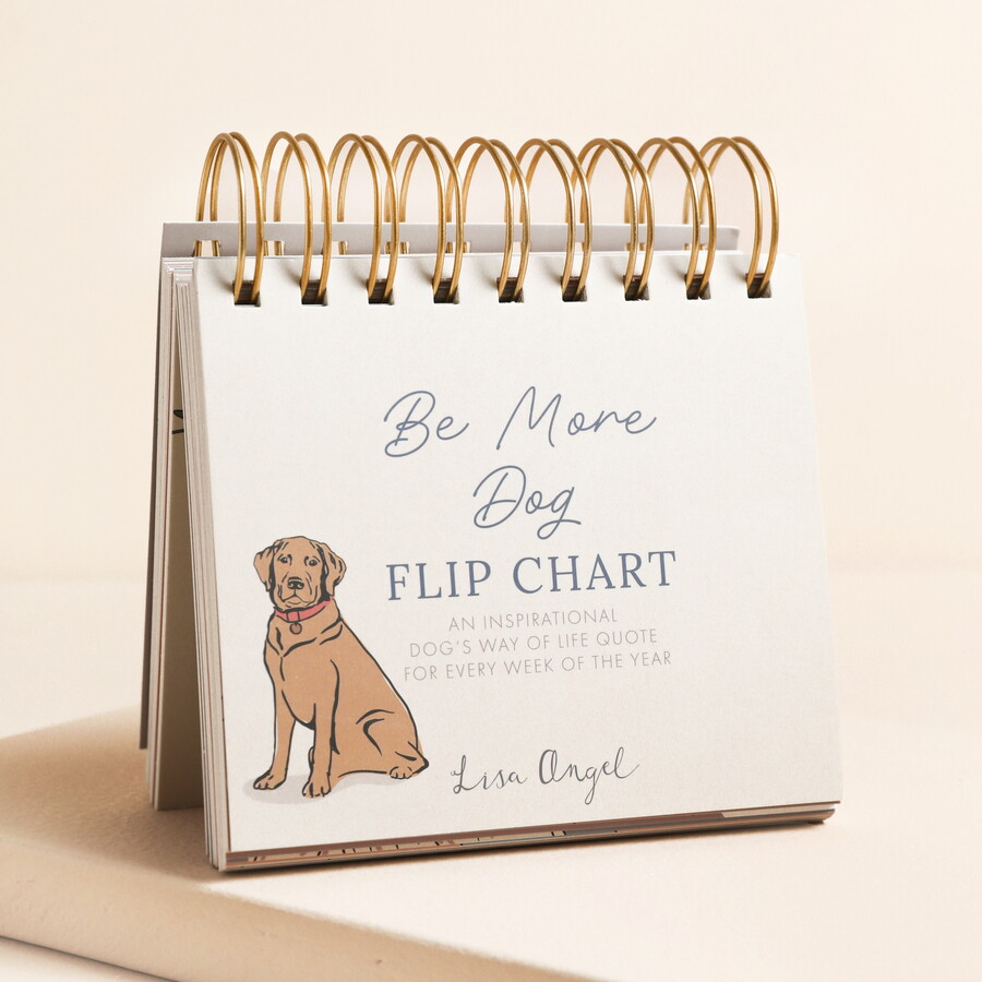 A Ring Bound Desktop Flip Chart with Dog Anecdotes on Each Page