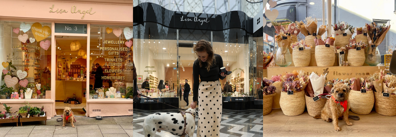 Visit Us Instore With Your Pet in Tow to Celebrate International Pet Day With Us!