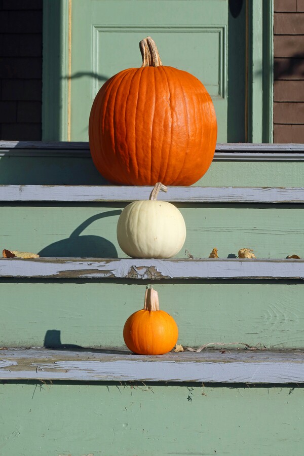 Repurpose your pumpkins by making delicious meals or creative crafts after Halloween is over