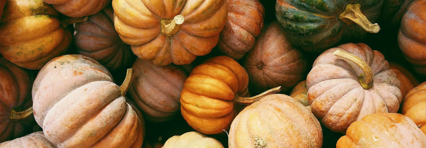 Explore our many pumpkin ideas for repurposing your old pumpkin when Halloween is over