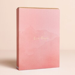 Lisa Angel Pink Gift Sleeve