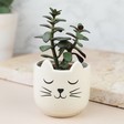 Cat Whisker Vase, Mini Vase for Cat Whiskers, Miniature Vase Tiny Vase for GXC e