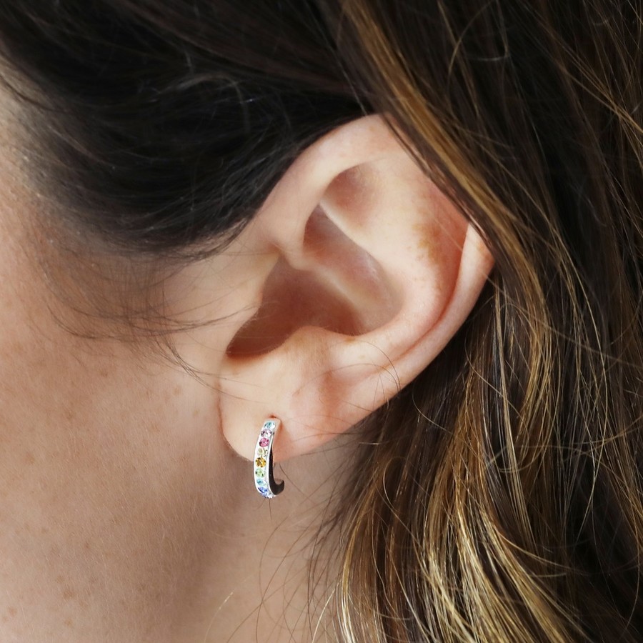 hoop and stud earring