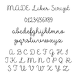 Lisa Angel Made Like Script