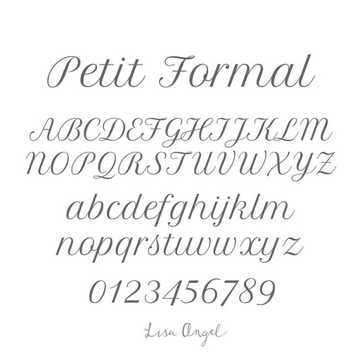 Graphic of Petit Formal Font for Men's Personalised Brushed Stainless Steel Signet Ring