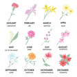 Birth Flower Collage