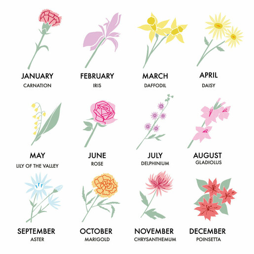 Birth Flower Collage Birth Flower Collage