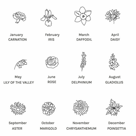 Birth Flower Collage  Birth Flower Collage