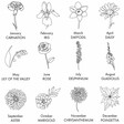 Birth Flower Options For Personalised Birth Flower Pink Winter Scarf 