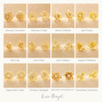 All Options of Flowers for Tiny Birth Flower Stud Earrings in Gold