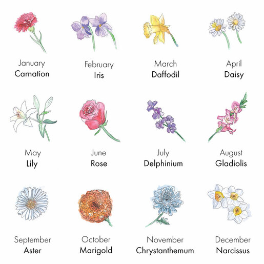 watercolour-birthflower-collage-new-4-51