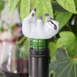 Sloth Bottle Stopper in Green Glass Bottle with Leafy Background
