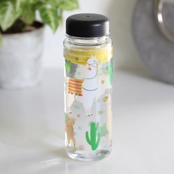 Sass & Belle Lima Llama Water Bottle