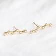 Lisa Angel Ladies' Gold Constellation Stud Earrings