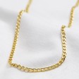 Lisa Angel Ladies' Gold Curb Chain Necklace