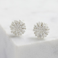 Sterling Silver Daisy Flower Stud Earrings