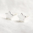Lisa Angel Ladies' Hypoallergenic Sterling Silver Star Stud Earrings on Wooden Bauble