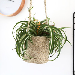 Garden Trading Hanging Jute Plant Pot, H15cm