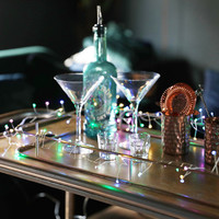Plug In Colour Changing LED String Lights
