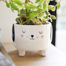Sass & Belle 'Barney The Dog' Planter, H7cm