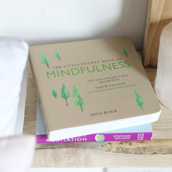 The Little Pocket Book of Mindfulness