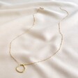 Carly Rowena Gold Sterling Silver Large Organic Shape Hoop Necklace