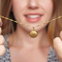 Gold Clam Shell Necklace