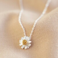 Estella Bartlett Secret Garden Silver Wildflower Necklace