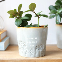 Glazed Ombré 'Blooming Amazing Mum' Planter, H9cm
