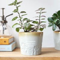 Glazed Ombré 'Nana' Planter, H9cm