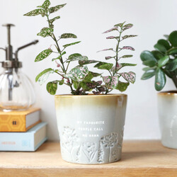 Glazed Ombré 'Nana' Planter, H9cm
