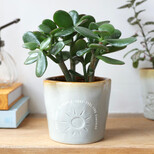 Glazed Ombré 'Sunshine Friends' Planter
