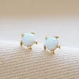 Lisa Angel Ladies' Opal Stone Turtle Stud Earring in Gold