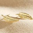 Lisa Angel Ladies' Delicate Gold Feather Stud Earrings