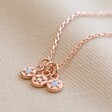 Personalised Family Member Birthstone Charm Necklace in Rose Gold