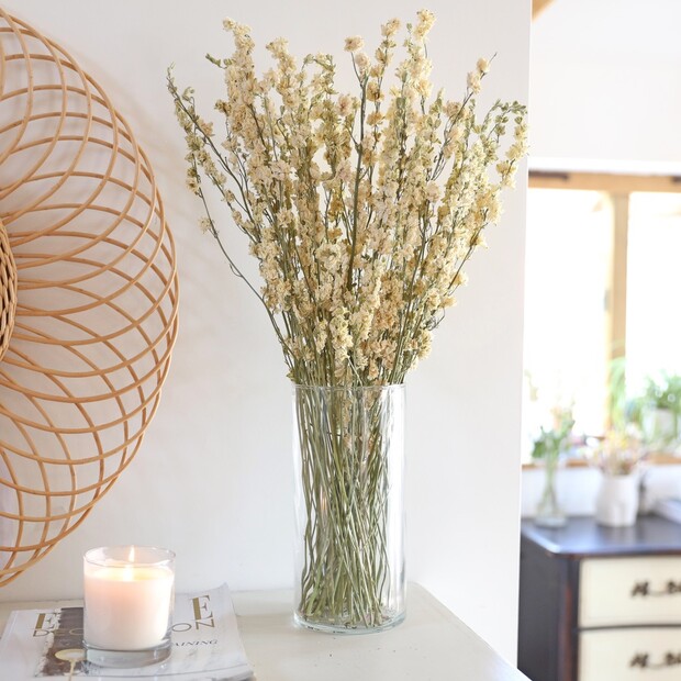 Large Cylinder Glass Vase