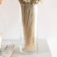 Unisex Medium Cylinder Glass Vase