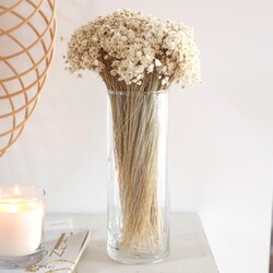 Medium Cylinder Glass Vase, H24cm