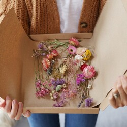 Assorted Dried Flower Offcuts