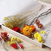Autumnal Cut Dried Flowers Letterbox Gift